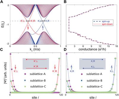 Spin-valley polarized edge states in quasi-one-dimensional asymmetric kagome lattice
